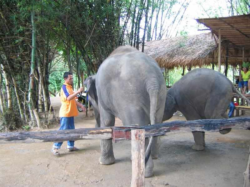 Thailand (221)